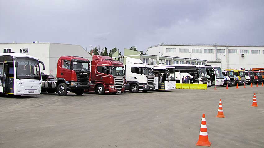 Trucks and buses in January showed different vectors