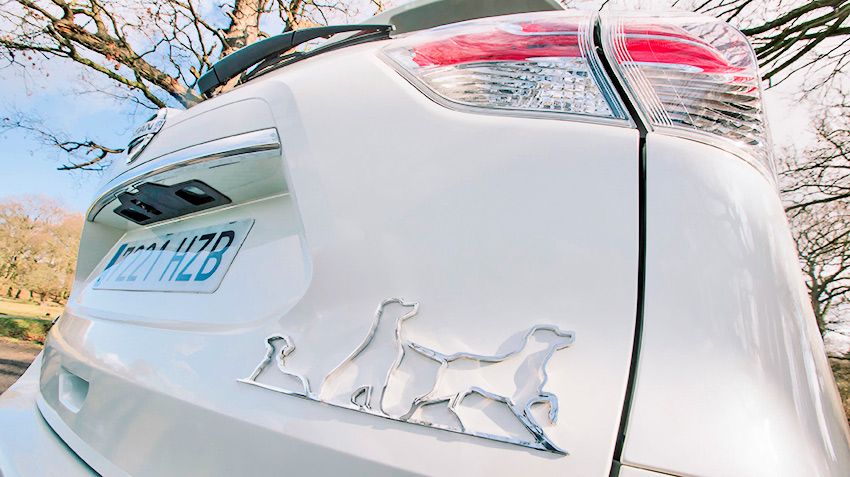 A third of owners with Pets choose a more spacious car