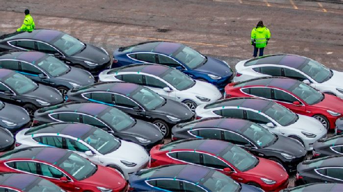 Tesla in January-July 2019 had more than a quarter of car sales in Europe