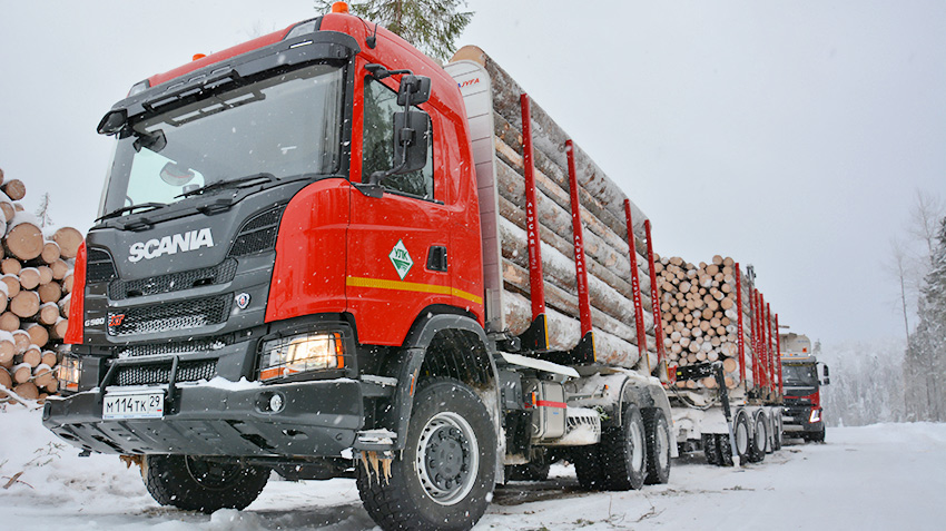 "Arscan" dispatched 75 trucks and Scania trucks in Arkhangelsk oblast
