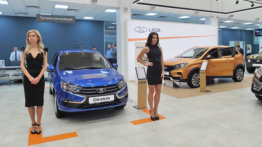 The new car market for the first half of 2019 has decreased moderately