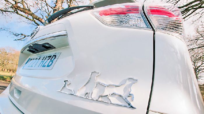 A third of owners with Pets choose a more spacious car