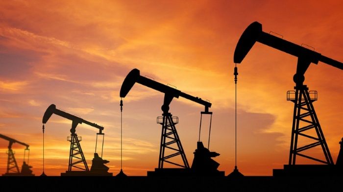 Medvedev came up with as the government to keep fuel prices