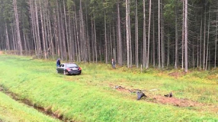 Witness Badri Shengelia was shot riding in Mercedes