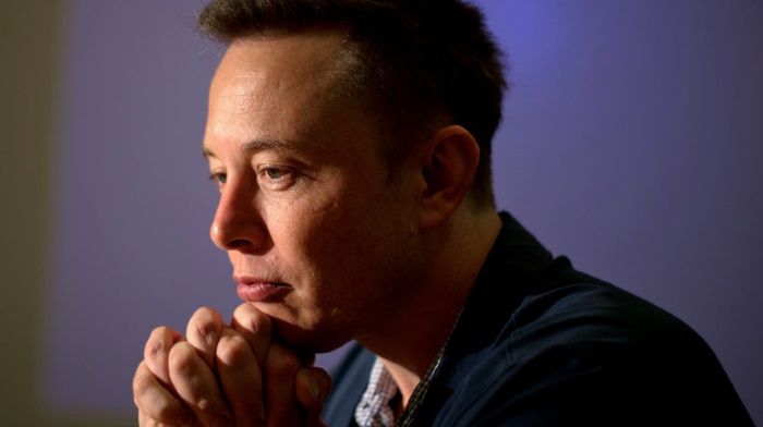 Musk under investigation, quotes, Tesla fall