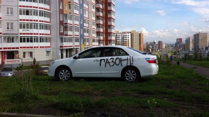 The constitutional court allowed to fine for Parking on the lawn