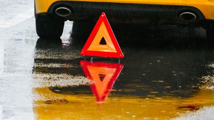 Insurance may grow by 31 August