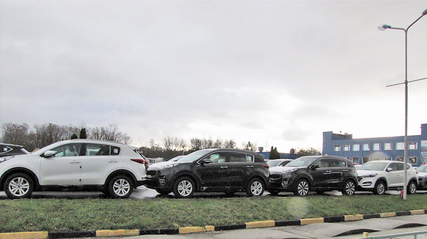 Top 10 SUVs and crossovers in January 2019