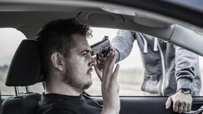 In Khabarovsk the culprit stole a car