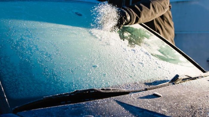 Winter is coming! How to make money?