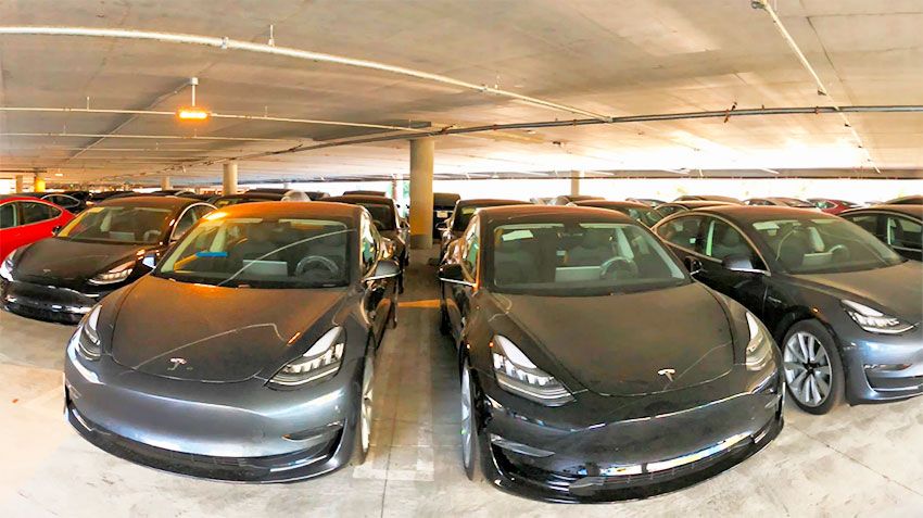 The Tesla brand on the way to a monopoly on the electric car market in the United States