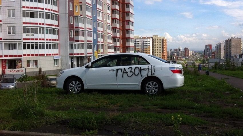 The constitutional court allowed to fine for Parking on the lawn