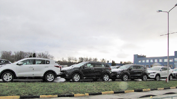 Top 10 SUVs and crossovers in January 2019