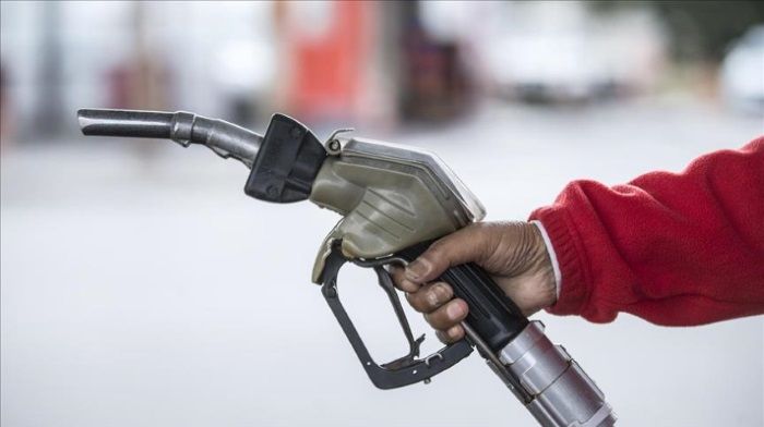 In the Kremlin commented on the situation with gasoline prices