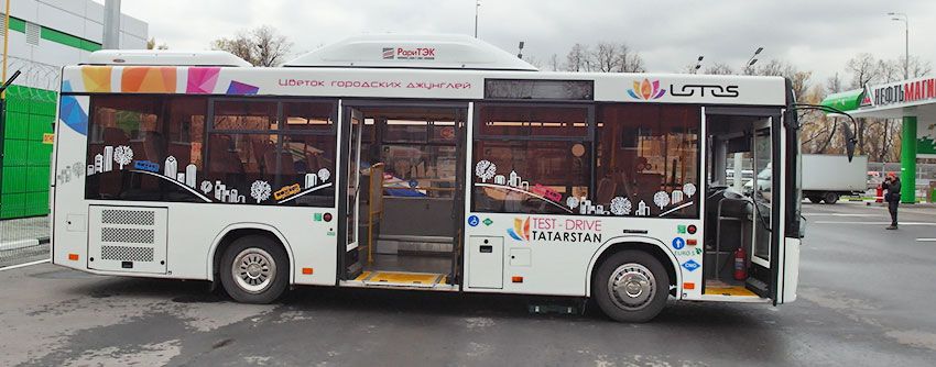 SAM_3576.jpg SAM_3576.jpg