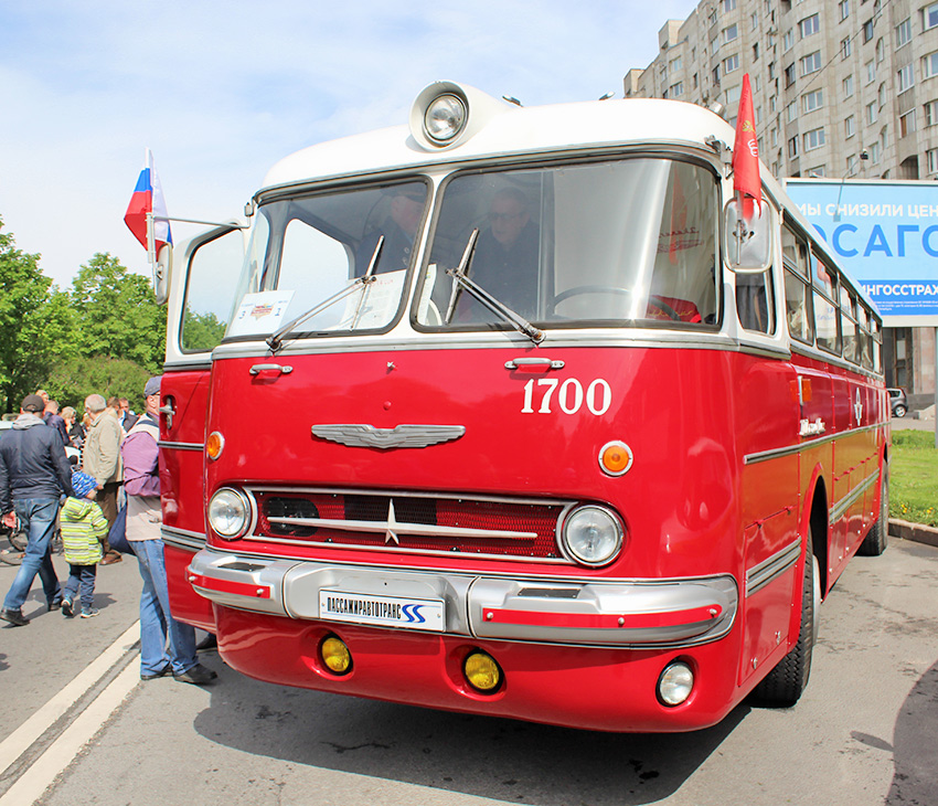IMG_7133.jpg