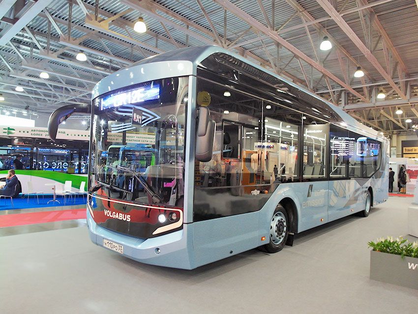 Citiritm-12ELF.jpg