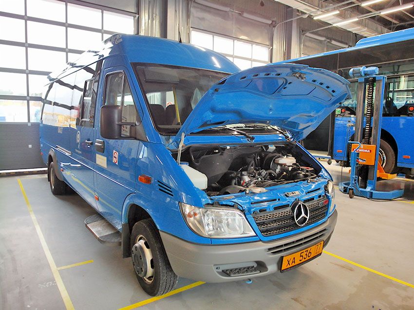 SAM_3452.jpg SAM_3452.jpg